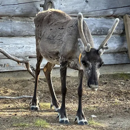 Kiilopalkinen By Interhome Дом отдыха