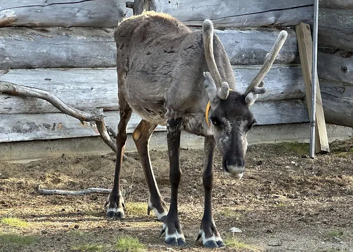 Kiilopalkinen By Interhome Loma-asunnot